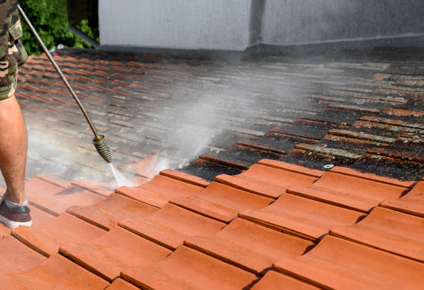 Best Commercial Building Pressure Washing  in Chesnut Hill, PA
